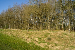 DSC04681.jpg