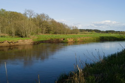 DSC04689.jpg