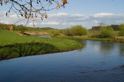 DSC04694.jpg