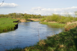 DSC04695.jpg