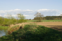 DSC04696.jpg