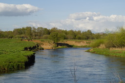 DSC04697.jpg