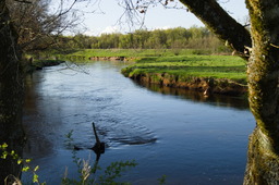 DSC04698.jpg