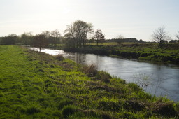 DSC04702.jpg