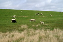 Vorschau 3